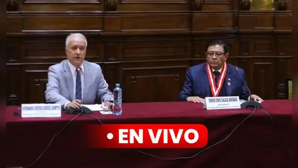Congreso: sustentaron en Comisión de Constitución proyectos para someter al JNE y ONPE