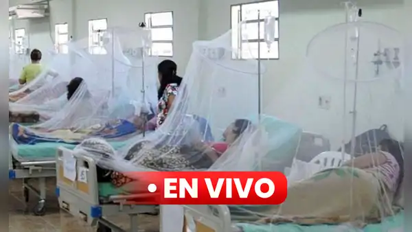 Dengue en Perú EN VIVO: anuncian declaratoria de emergencia en 20 regiones