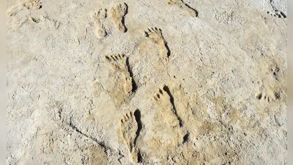 Humanos poblaron América 10.000 años antes de lo que se creía, sugiere estudio