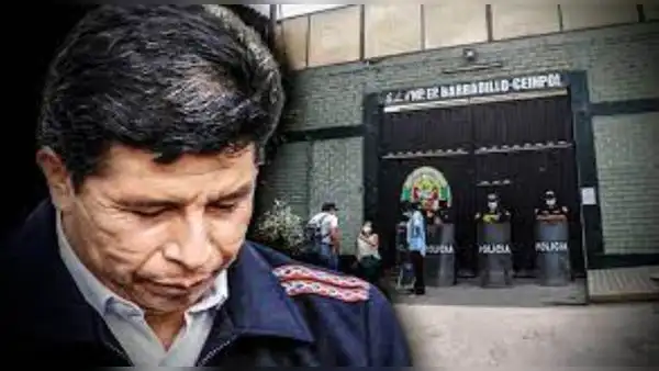 Pedro Castillo insiste que es un preso político, pero juez Juan Carlos Checkley lo desmiente