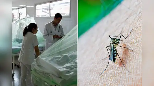 Dengue en Perú: reportan la cuarta persona fallecida en La Libertad