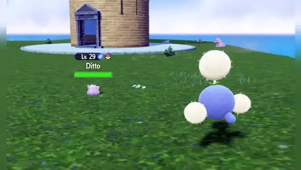 Fue un pokémon olvidado por décadas, pero ahora triunfa en el competitivo de Escarlata y Púrpura