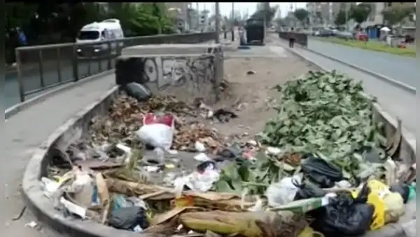 SMP: vecinos denuncian que ciclovía de la avenida Tomás Valle luce abandonada y llena de basura