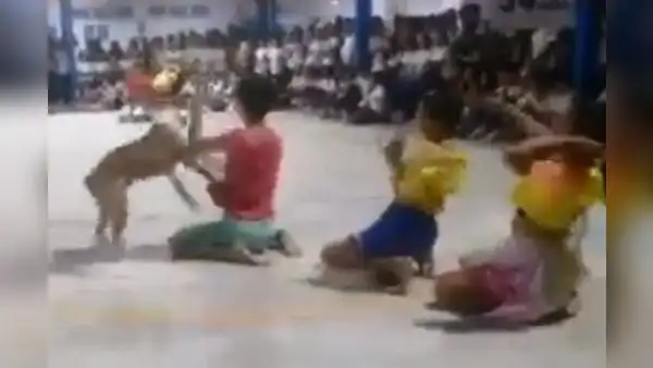 Día de la Madre: perrito se robó el show durante actuación en Iquitos
