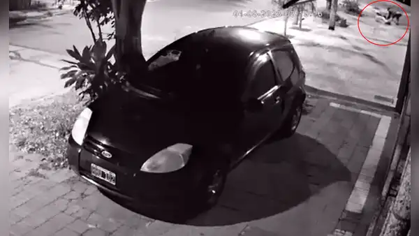 Ladrón pierde su celular en pleno asalto y llama a su víctima para que se lo devuelvan