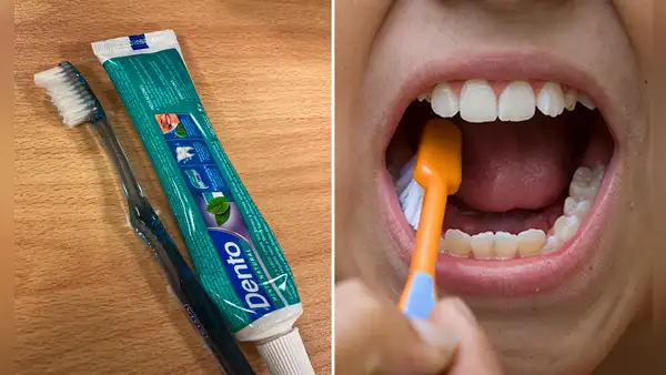 ¿Cada cuánto tiempo debo cambiar mi cepillo de dientes por uno nuevo?