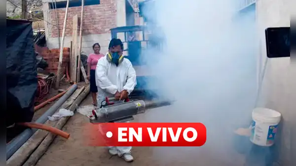 Dengue en Perú EN VIVO: ¿cuáles son las regiones con más contagios, según el Minsa?
