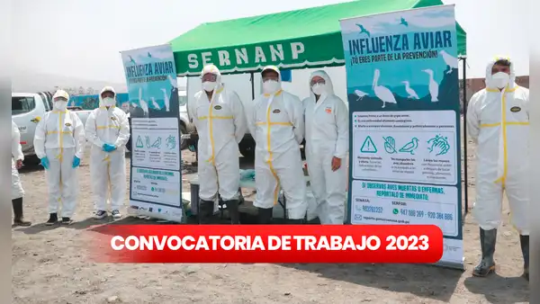 ¿Tienes primaria completa? Sernanp ofrece trabajos con sueldos de hasta S/7.500: cómo postular