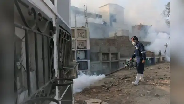Dengue en Perú: 79 fallecidos y más de 35.000 casos confirmados