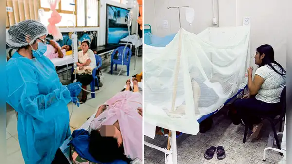 Aumentan casos de dengue en Lima: ¿cómo aliviar los síntomas en casa y cuándo ir a un centro de salud?