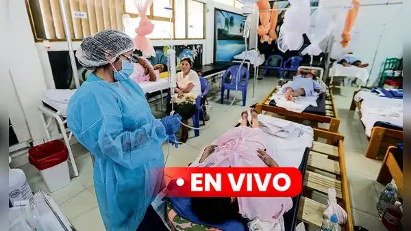 Dengue en Perú En Vivo: últimas noticias, fallecidos y más sobre alerta sanitaria del Minsa en regiones