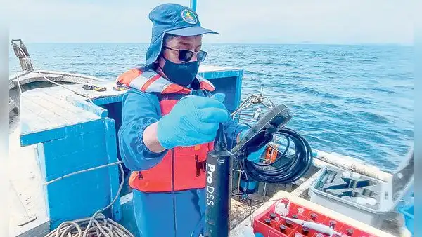 Fenómeno El Niño se iniciaría en junio y llegaría hasta octubre