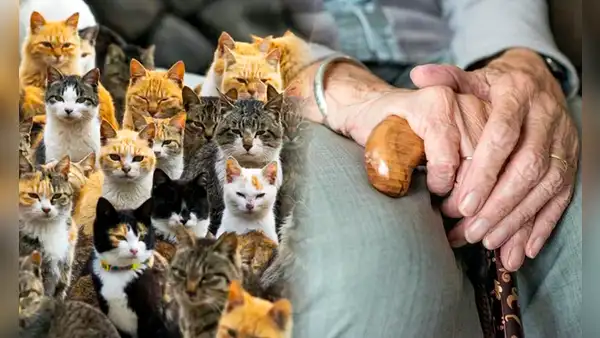 El caso de Clara Tobón: la mujer que murió en soledad y fue devorada por sus gatos