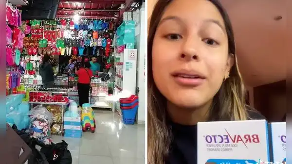 ¿Dónde encontrar medicinas económicas para tu gato o perro? Te compartimos 5 lugares en Lima