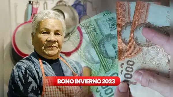 Bono Invierno 2023: consulta con RUT si eres beneficiario y cómo postular en Chile