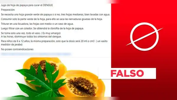 El dengue no se cura con el consumo de hojas de papaya