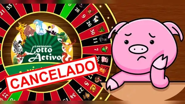 ¿Qué pasó con los sorteos del Lotto Activo?