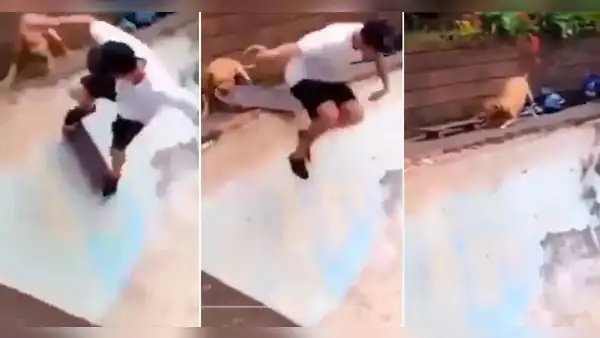 Perrito quita patineta a joven que practicaba skateboarding y causa risas en TikTok: “Buena, Firulais”
