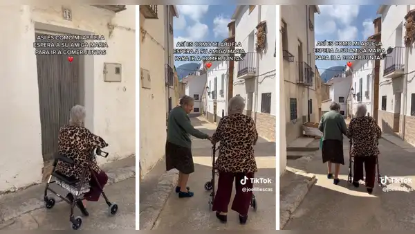 Adulta mayor espera en su andador a su amiga para ir a comer juntas: “Es una verdadera amistad”