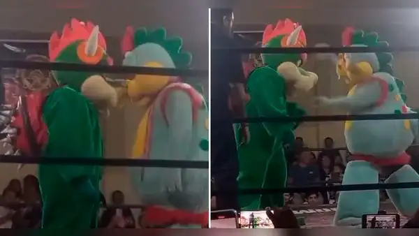 Captan a Timoteo peleando con Bowser en ring de lucha libre: "De la refurinfunflay"