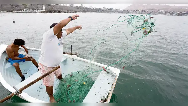 Pescadores son clave en la ley de las 5 millas marinas