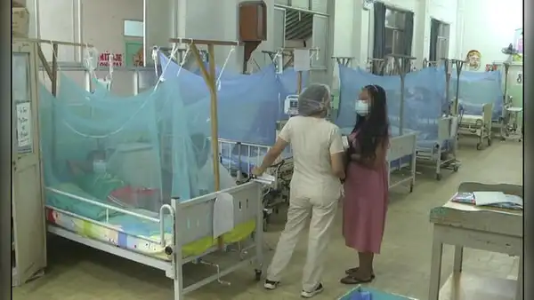 Culpan a Gobierno por aumento de casos de dengue en el norte del país