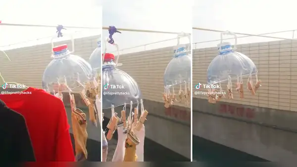 Mujer amante de las manualidades crea su propio tendedero con una botella y ganchos: “Sin temor al éxito”
