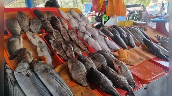 Precio del pescado se incrementa ante presencia de oleajes anómalos