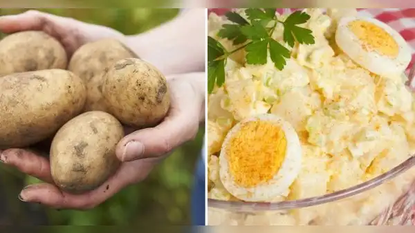 Día de la Papa: mira 3 recetas fáciles y económicas para preparar en casa con este tubérculo