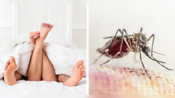 ¿El dengue se puede transmitir por relaciones sexuales?