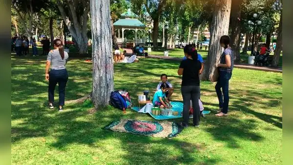 Pícnics en Miraflores: ¿qué requisitos propone la municipalidad para reuniones con más de 15 personas?