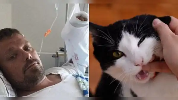 El dramático caso de Henrik: ¿cómo la mordedura de su gato le quitó la vida tras 4 años?