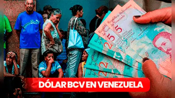 Precio del dólar BCV HOY, lunes 29 de mayo: tasa oficial según Banco Central de Venezuela