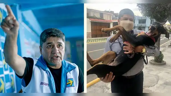 Fiscalía intervino la Municipalidad de Arequipa para investigar caso de la mascota del alcalde