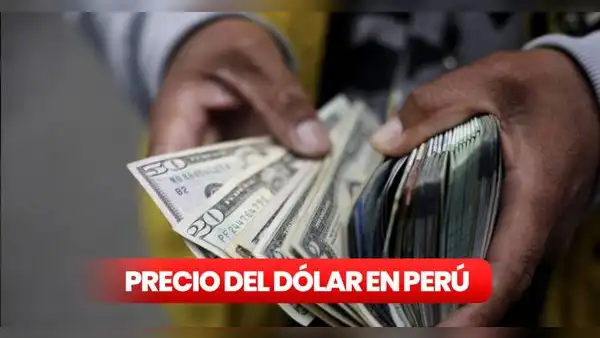 Precio del dólar hoy, domingo 28 de mayo, en casas de cambios, bancos y otros canales