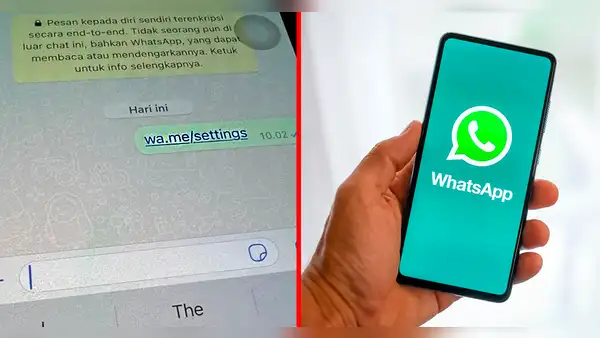 ¿Cómo borrar el 'wa.me/settings' de tu WhatsApp si lo pulsaste por error y 'crasheó' tu celular?