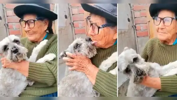 Adulta mayor rompe en llanto al reencontrarse con su perrito y enternece en TikTok: “Es lo más bello”