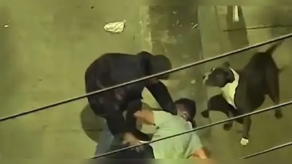 VES: capturan a delincuente que entrenó a su perro para asaltar a transeúntes