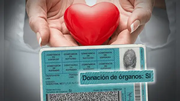 ¿Donarías tus órganos? Aunque no tengas la opción marcada en el DNI, estos podrán ser utilizados