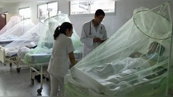 Dengue en Piura: 5 equipos de médicos de diferentes regiones llegarán para tratar a pacientes
