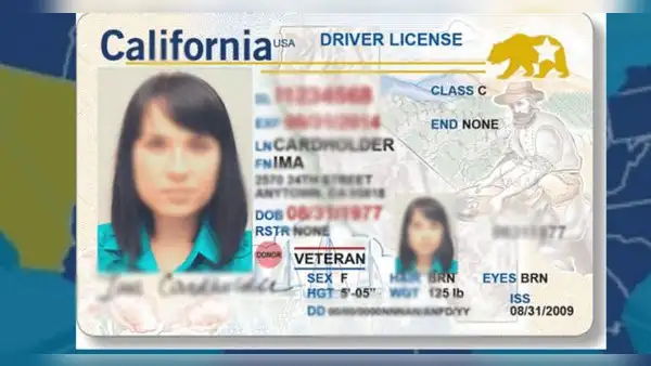 Requisitos y pasos para obtener una licencia de manejo en EE. UU.