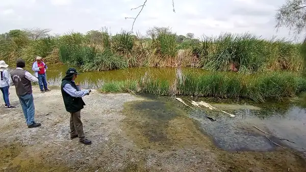 Contaminación afecta cultivos en el Bajo Piura