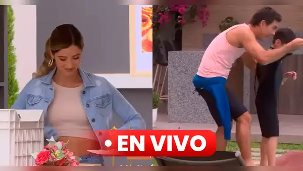 “Al fondo hay sitio 10″, capítulo 233 ONLINE por América TVGO: ¿dónde VER GRATIS la serie?