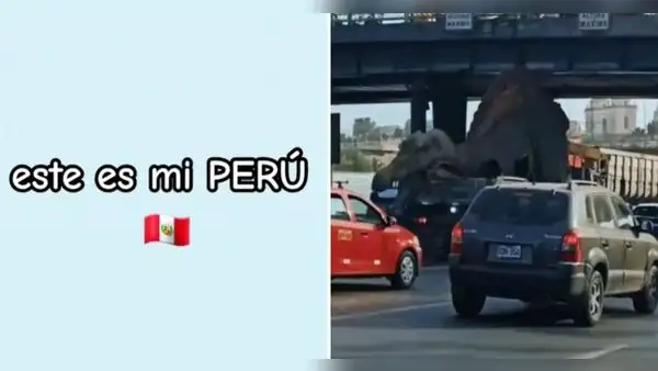 Dinosaurio se atora bajo puente Acho, causa caos vehicular y usuarios reaccionan: "Solo en Perú"