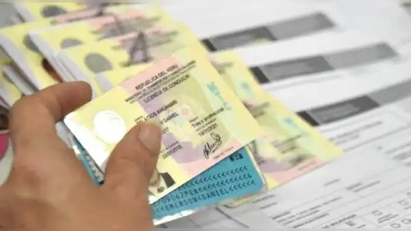 ¿Cómo saber si mi licencia de conducir está registrada en el MTC? CONSULTA con tu DNI
