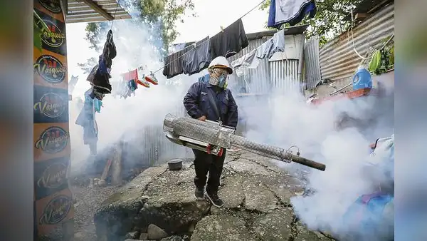 Dengue en Piura: multarán a dueños de casas que eviten la fumigación