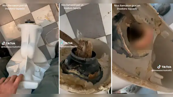 No pasaba el agua por su inodoro y al sacarlo encontraron algo inédito: ¡una dentadura postiza!