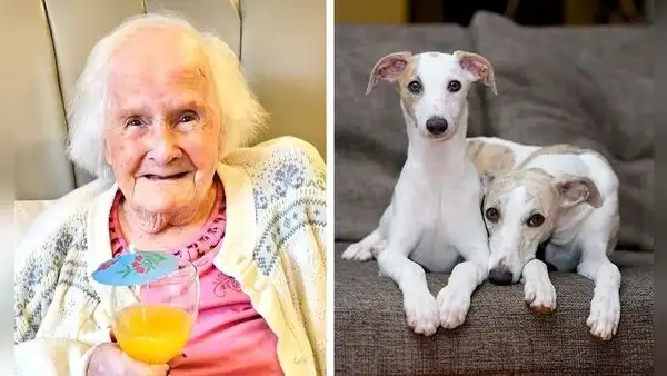 Mujer comparte su polémico consejo para llegar a los 108 años: “Tener perros en lugar de hijos”