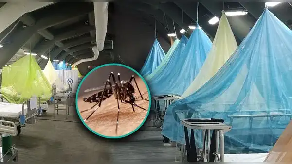 ¡Situación crítica en Piura! Hospital en Sullana atiende hasta a 2 niños con dengue en una sola cama