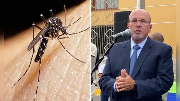 Surco: municipalidad declara al distrito en emergencia sanitaria por aumento de casos de dengue
